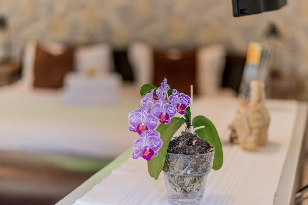 51 On Camps Bay Hotel Cape Town Exterior photo
